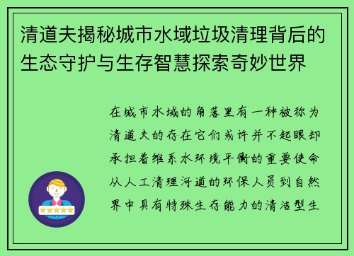 清道夫揭秘城市水域垃圾清理背后的生态守护与生存智慧探索奇妙世界